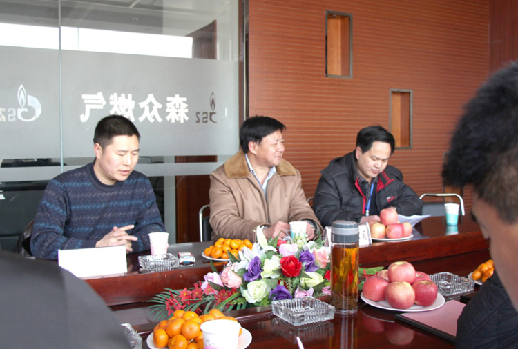 林口县政府与南昌彦霖新能源技术有限公司燃气项目洽谈.png